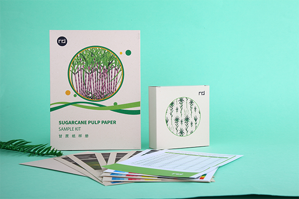 Sugarcane paper